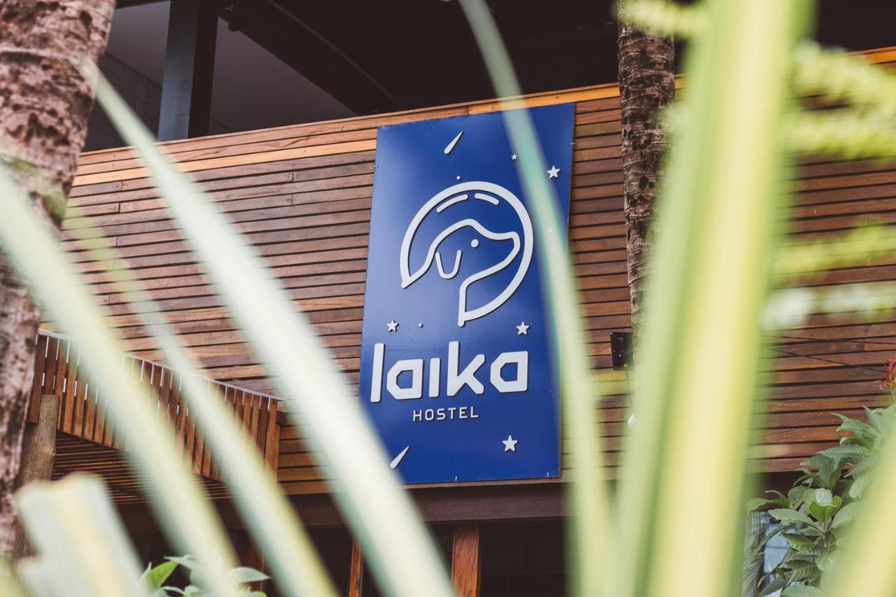 Laika Hostel Camburi  Extérieur photo